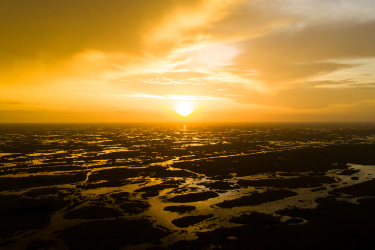 Florida and U.S. wildlife and nature photography | Matthew Hoyos
