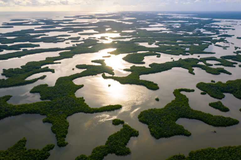 Florida and U.S. wildlife and nature photography | Matthew Hoyos