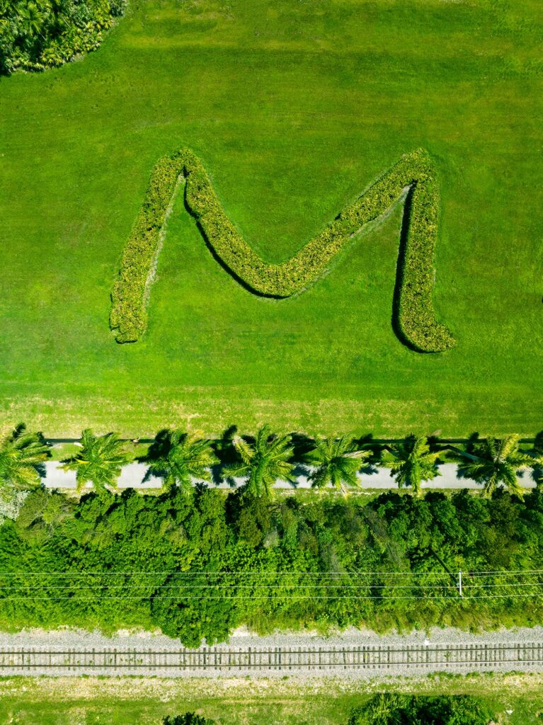 Talk of Miami, Day: letter M